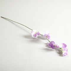 Sweetpea Light Purple Flowers