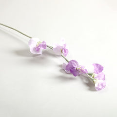 Sweetpea Light Purple Flowers