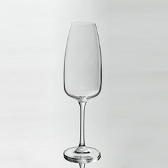 Bohemia Crystal Fascino Champagne Glass set of 6