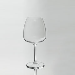Bohemia Crystal Fascino  Red Wine Glass Set of 6