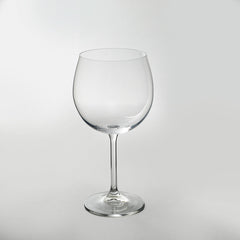 Bohemia Crystal Gastro Red Wine Glass set of 6