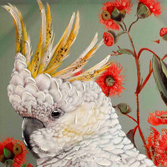 Cockatoo Bird Wall Art Cockatoo Bird Wall Art