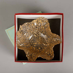 Flavia Decor Bowl With Gift Box Flavia Decor Bowl With Gift Box