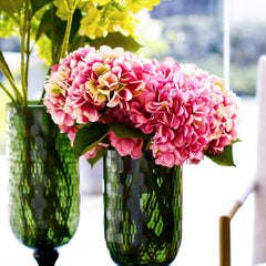 Hortensia Purple Flowers Hortensia Purple Flowers