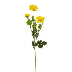 Xuri Renunculus Rose Flower Xuri Renunculus Rose Flower