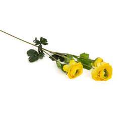 Xuri Renunculus Rose Flower Xuri Renunculus Rose Flower