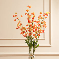 Orange Bellflowers Orange Bellflowers