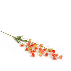 Orange Bellflowers Orange Bellflowers