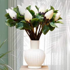 Protea Flower Bud Protea Flower Bud