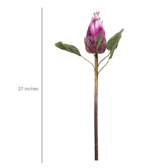 Protea Flower Bud Purple Protea Flower Bud Purple