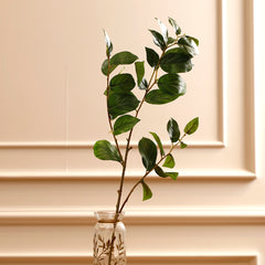 Sabah Leaf Dak Green Sabah Leaf Dak Green