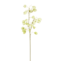 Shear Ivory Flower Shear Ivory Flower