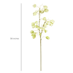 Shear Ivory Flower Shear Ivory Flower