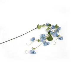 Frazi Blue Flower Frazi Blue Flower