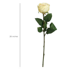 Peking Cabbage Rose with Leaves Light Yellow Peking Cabbage Rose with Leaves Light Yellow