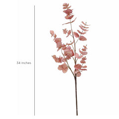 Eucalyptus Flower Pink Eucalyptus Flower Pink
