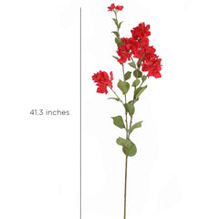 Bougainvillea Red Flowers Bougainvillea Red Flowers