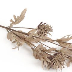 Thistle Mauve Flowers Thistle Mauve Flowers