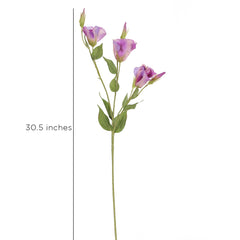 Purple Lisianthus Flowers Purple Lisianthus Flowers