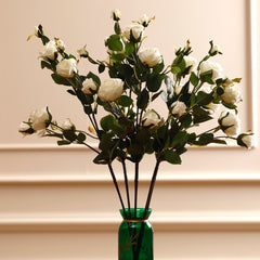 Pearl Cabbage Rose Flowers Pearl Cabbage Rose Flowers