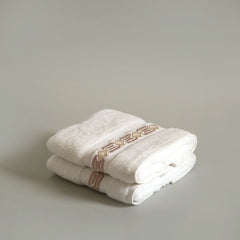 Snowy Hand Towels Set of 2