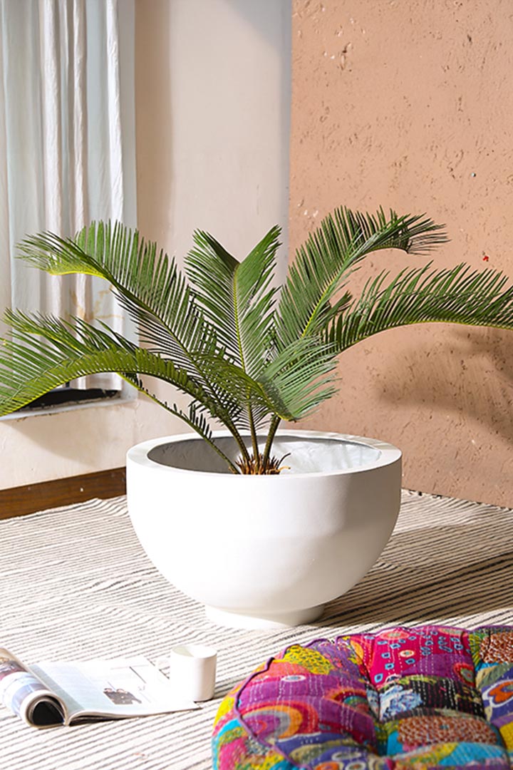 Flower Pots & Planters_mobile