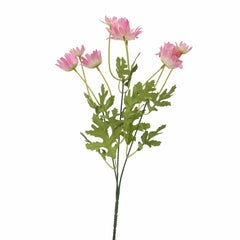 Daisy Bush Flower - Home4u Daisy Bush Flower - Home4u