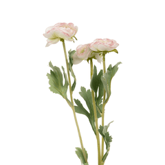 Ranunculus Flower Small - Home4u Ranunculus Flower Small - Home4u