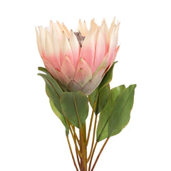 Protea Flower Medium - Home4u Protea Flower Medium - Home4u