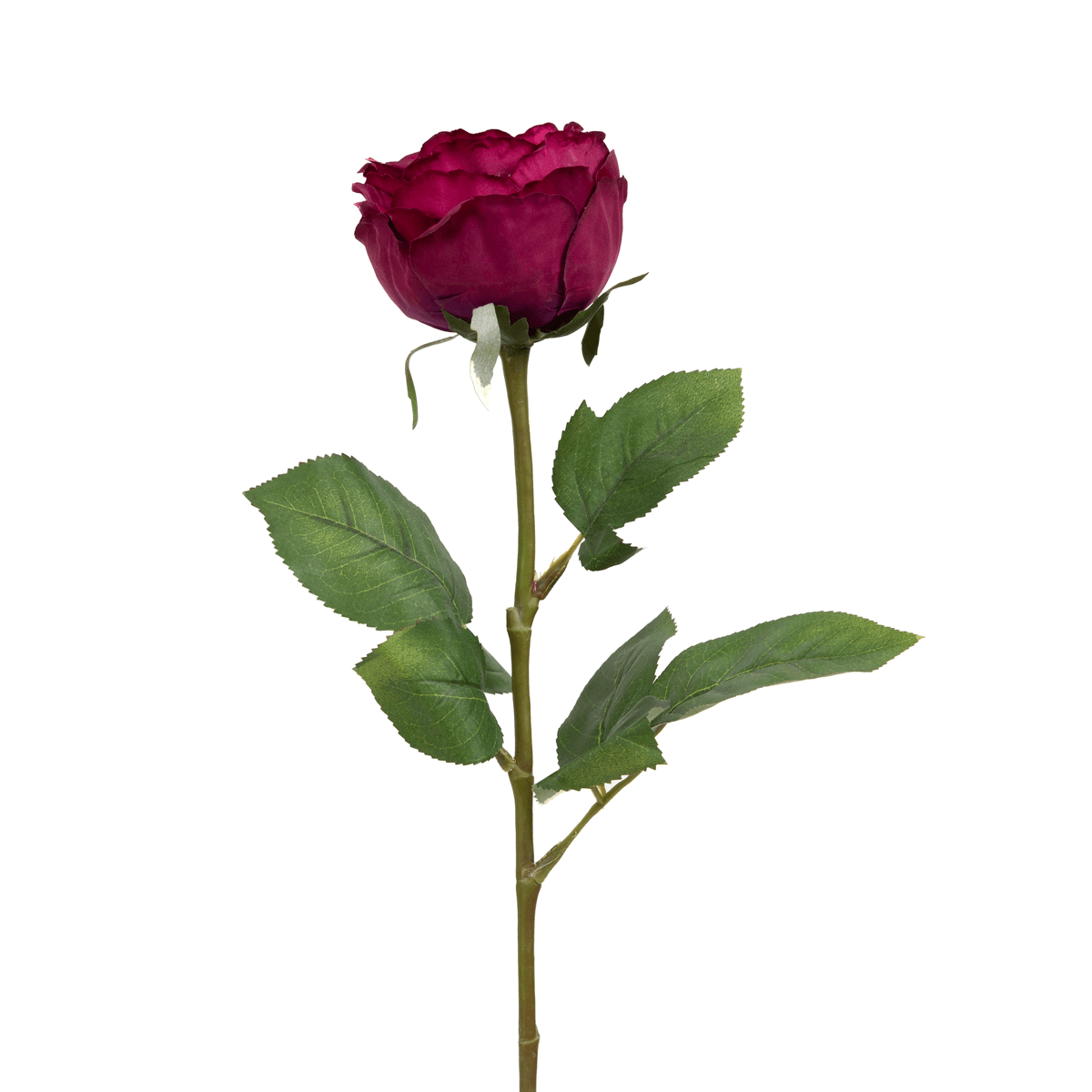 Peking Cabbage Rose with Leaves Maroon - Home4u Peking Cabbage Rose with Leaves Maroon - Home4u