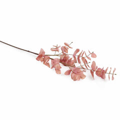 Eucalyptus Flower Pink Eucalyptus Flower Pink