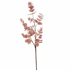 Eucalyptus Flower Pink Eucalyptus Flower Pink