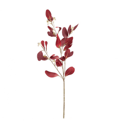 Paris Eucalyptus with Fruit Flower - Home4u Paris Eucalyptus with Fruit Flower - Home4u