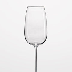 Z1872 Champagne Delight set of 6 Z1872 Champagne Delight set of 6