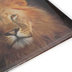Platex Acrylic Tray Lion Portrait