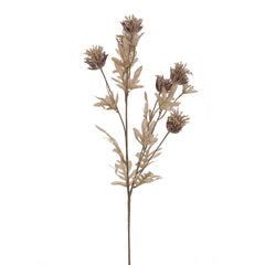 Thistle Mauve Flowers Thistle Mauve Flowers