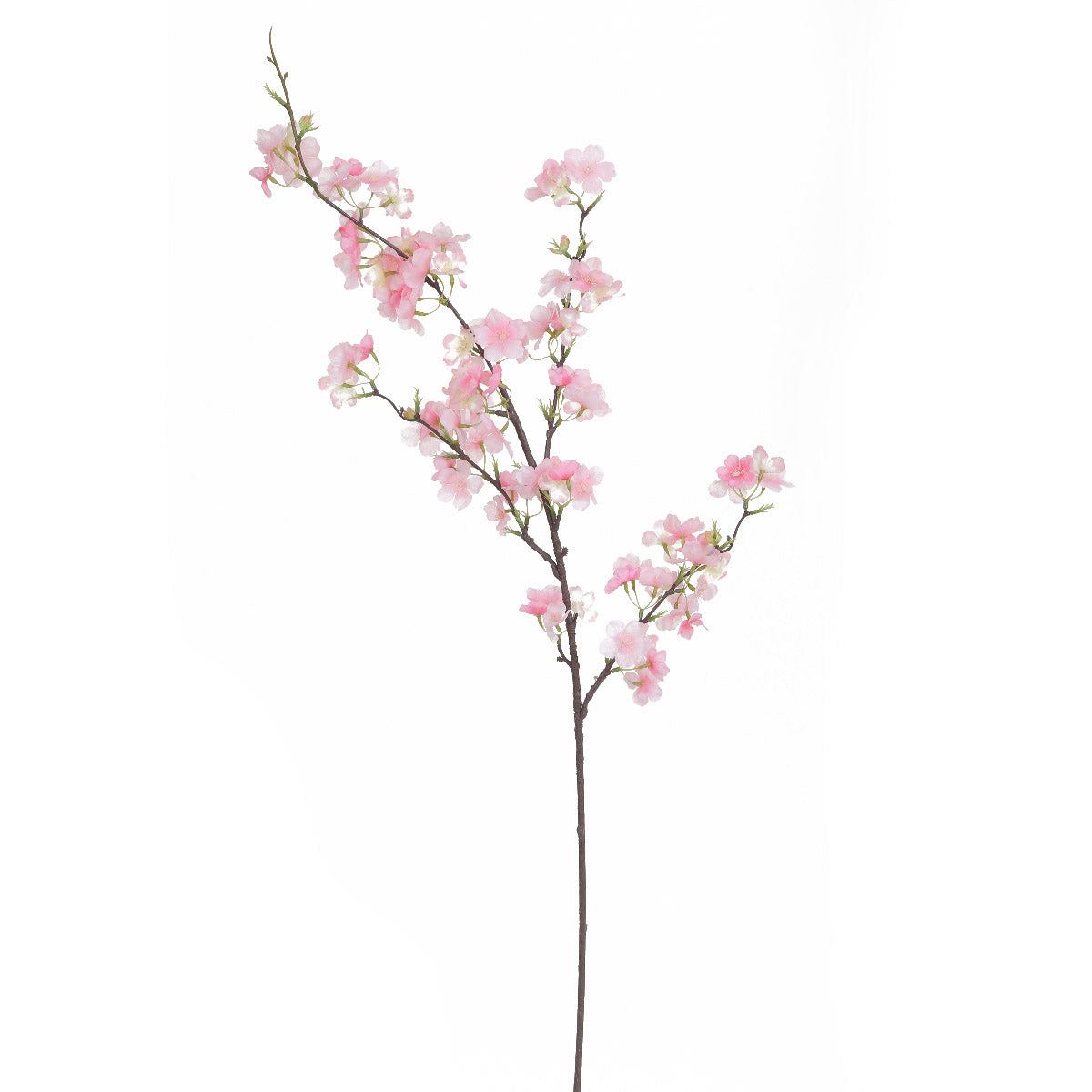 Buy Pink Cherry Blossom Flowers online in India Home4u