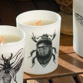 Vila Hermanos Insect Scarabeus Sacer Jar Candle in Wood Wick