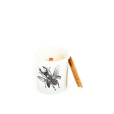 Vila Hermanos Insect Lucanus Cervus Jar Candle Wood Wick