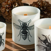 Vila Hermanos Insect Calabrone Jar Candle Wood Wick