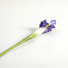 Iris Purple Flower