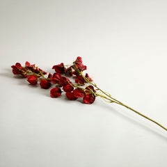 Redbell Flower