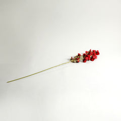 Redbell Flower