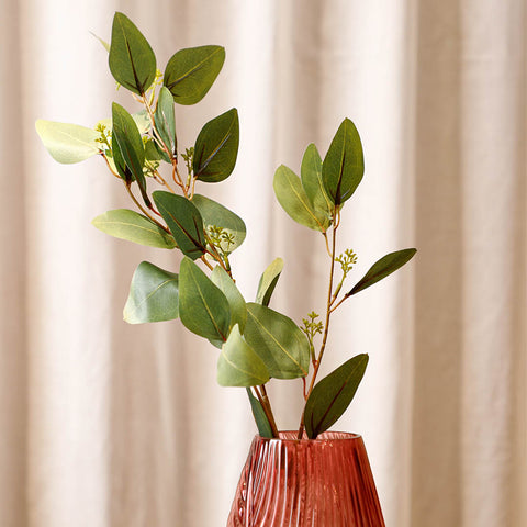 Holand Eucalyptus Leaves Green