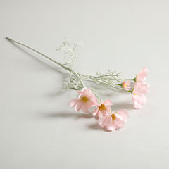 Cosmos Light Pink Flowers