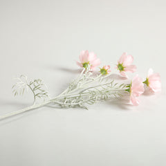 Cosmos Light Pink Flowers