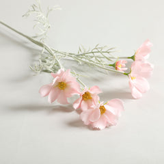 Cosmos Light Pink Flowers