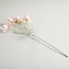 Cosmos Light Pink Flowers