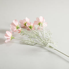 Cosmos Light Pink Flowers