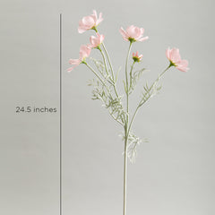 Cosmos Light Pink Flowers